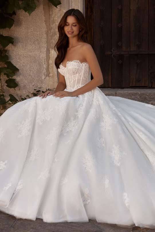 Vestidos de Novia en Monterrey y Ciudad de Mexico